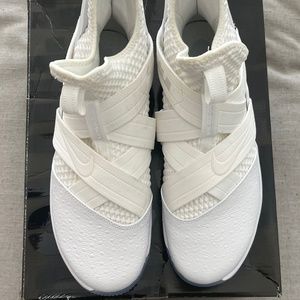 Lebron Soldier 12 SFG